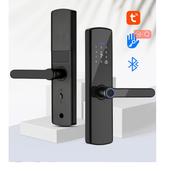 ODM Fingerprint Door Lock Power Supply 4 AA Battery