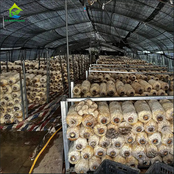 Stable Structure Easily Assembled Agricultural Single Span Fully Automated Blackout Mushroom Growing Greenhouse