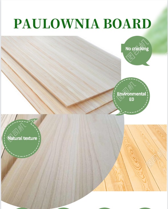 Solid Wooden Montessori Toys Made from Paulownia Soft Wood for Project Solutions