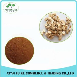 Wildginger Herb Indigowoad Root Extract / Radix Isatidis Extract 10:1