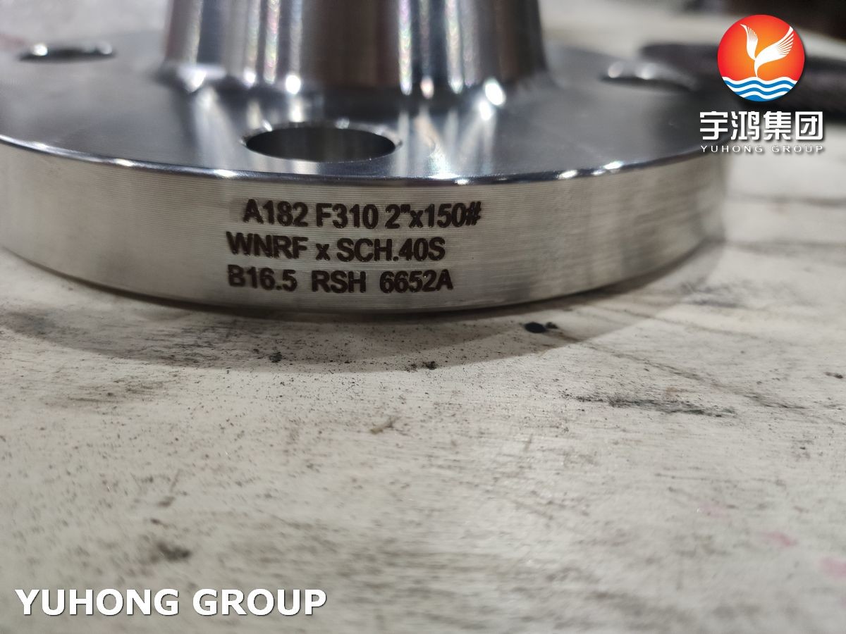 Good Weldability ASTM A182 F310 (1.4841) BLRF WNRF Forged Flange