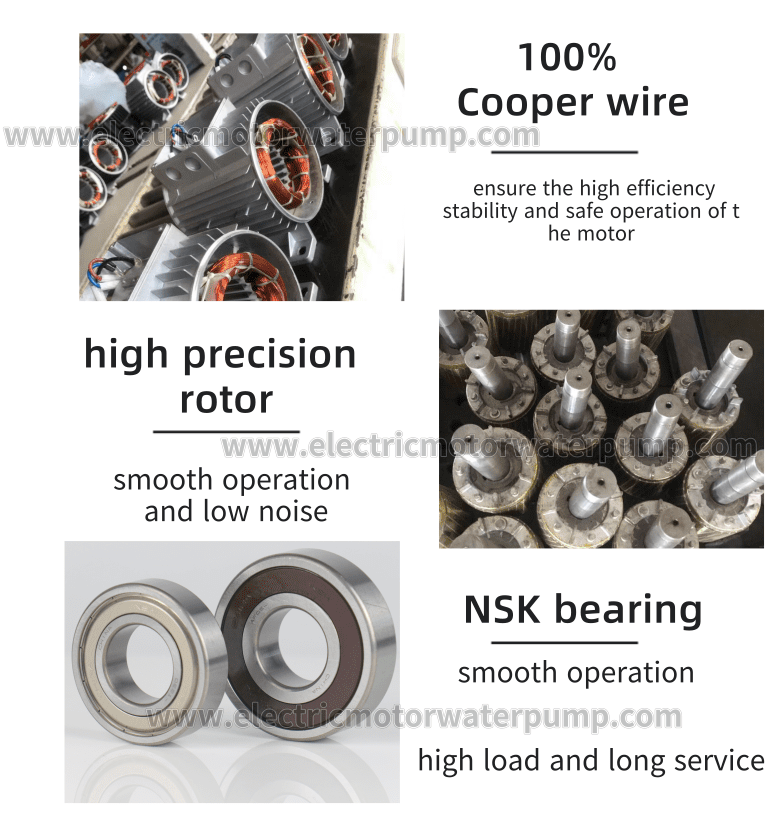 hydraulic motor