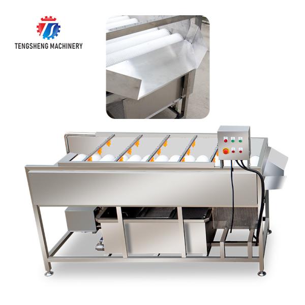2.5KW Potato flat roller cleaning equipment seafood cleaning machine potato