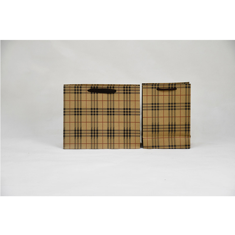 5Kg Weight Capacity Kraft Shopping Paper Bags Eco Friendly Packaging Recycled