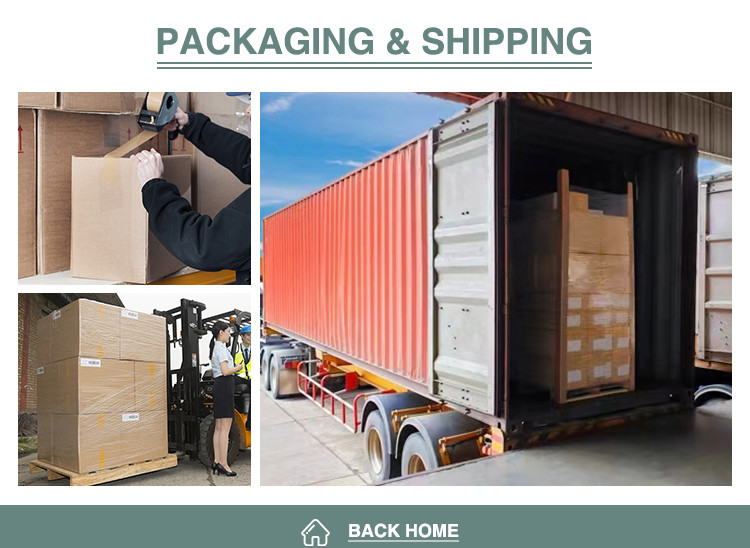 500-1000ml Fast Food Takeaway Boxes With CMYK/Pantone Printing Food Container Paper Box