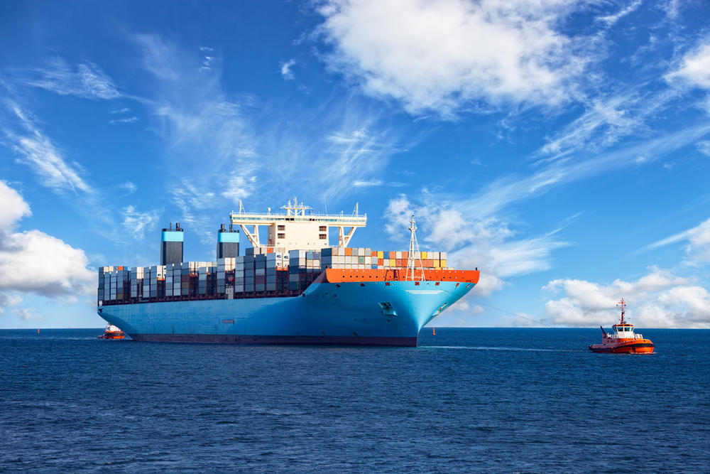 20 Days Shipment Dispatch Time Affordable and Hassle-Free Shipping from Shenzhen to USA Amazon FBA DDP DDU DAP