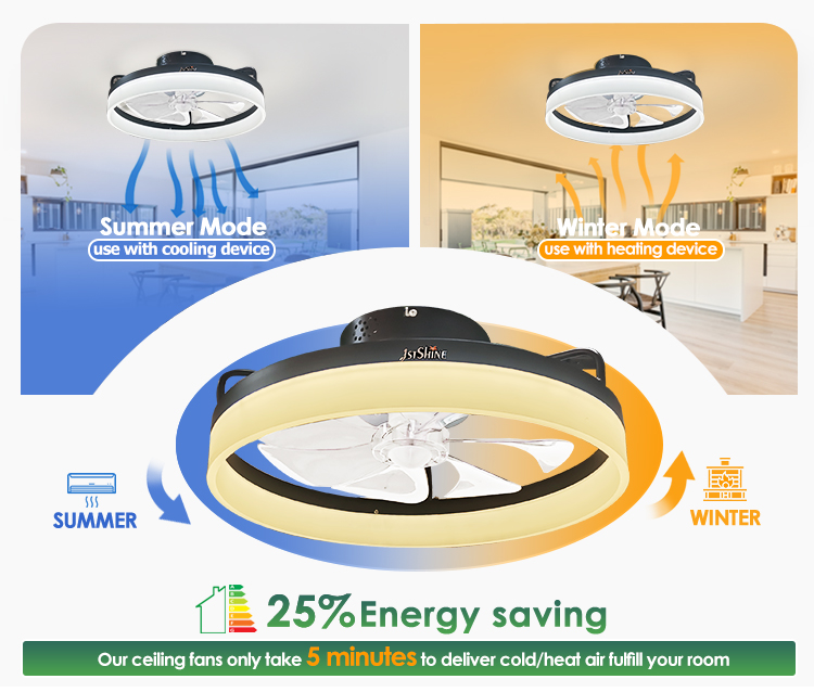ABS Clear Plastic Blades 20 Inch Ceiling Fan with LED Light and Flush Mount Design