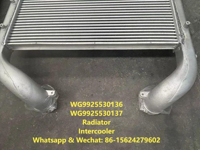 Radiator 712W06100-0005 HOWO Truck Parts Intercooler WG9925530136 WG9925530137 Water Tank