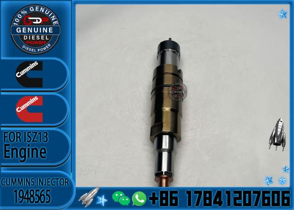 2029622 Genuine Diesel Common Rail Fuel Injector 1948565 2030519 2031836 2031835