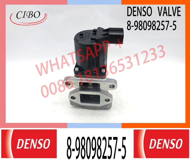 Japan Genuine Neutral 4HK FSR FRR FTR NPR NQR 8-98098257-5 8980982575 1 EGR Valve