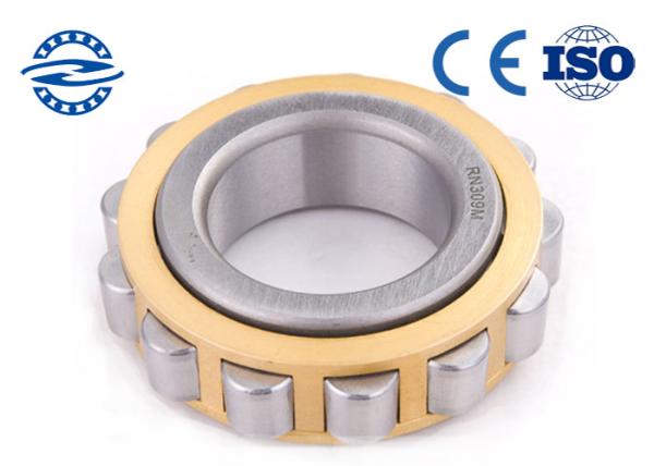 Eccentric cylindrical roller bearing 45*86.5*25mm RN309 for Reducer pendulum