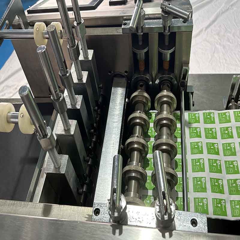 Customizable PLC Four Side Seal Packing Machine For Adhesion Promoter Products Packaging