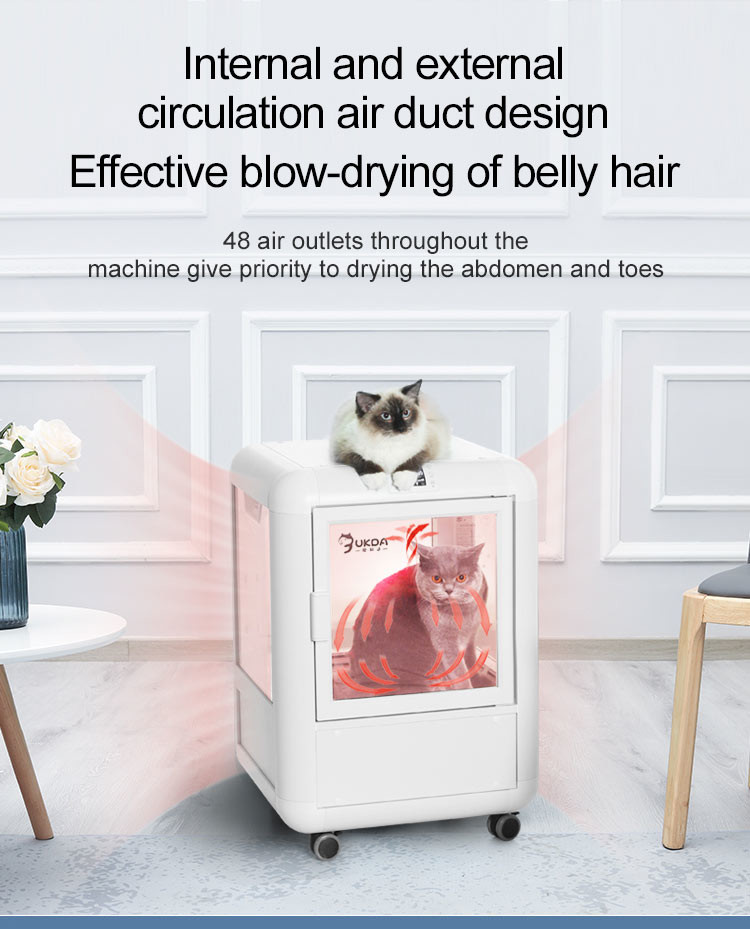 Blue PET Drying Room box PTC Air Bath Constant Temperature Energy Saving