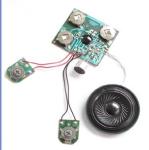 OEM design Recordable Sound Module with pre - recorded sounds, voice, music,