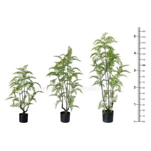 OEM ODM Plastic Fern Plants 100% Botanically Accurate Structure Waterproof