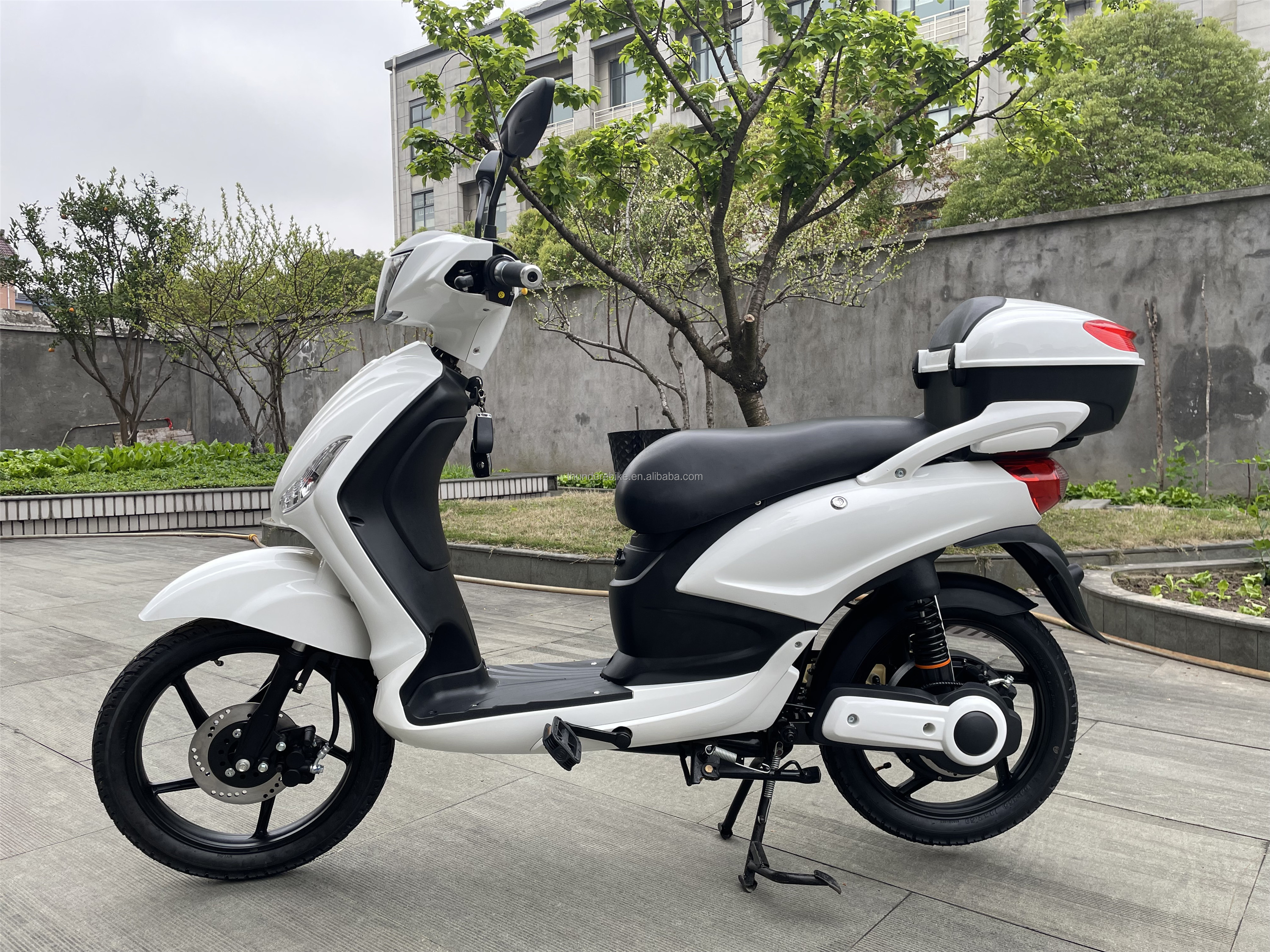 CE EEC Certified Light Weight Europe Style Pedal Assist Lead or Lithium Battery E Scooter With Full Colorful Display Bluetooth