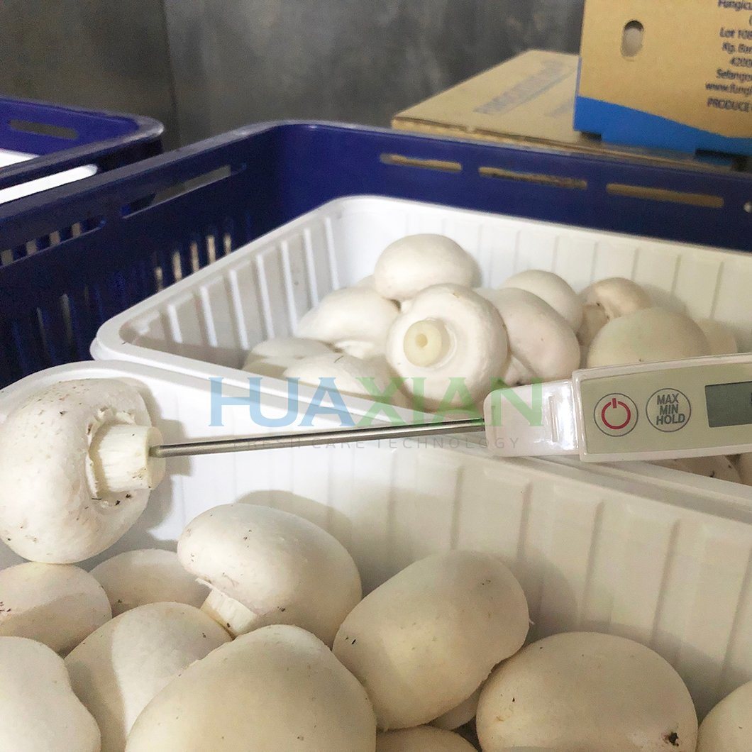 New Vacuum Agriculture Cooling Machine for Vegetable/Fruit/Mushroom/Flower Farm