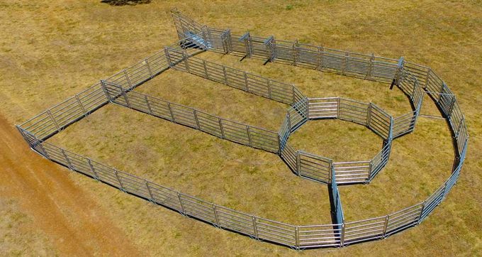 2019 galvanized  Cattle yard Panels 1.8m x 2.1m x 1.6mm