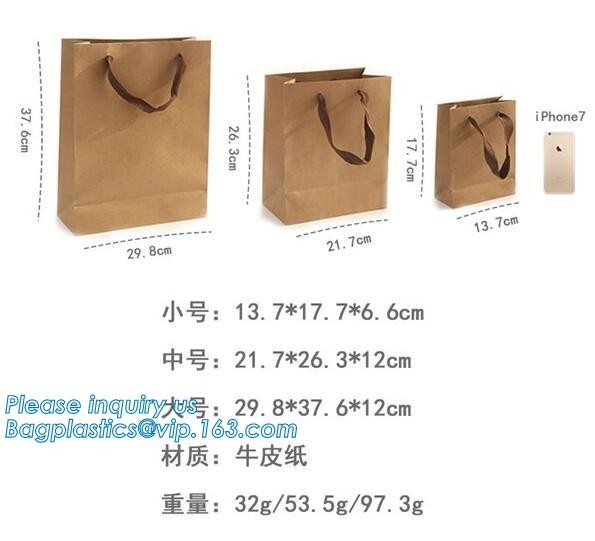 Luxury Rope Handle Laminated Paper Carrier Bags,brand Luxury laminated manila carrier paper hand bag, bagplastics, bagea