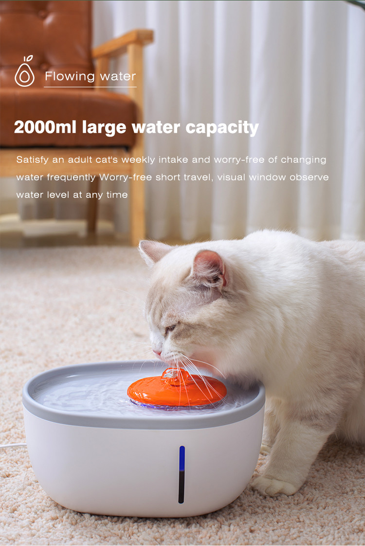 Dog Water Fountain Dispenser Pet Avocado Shaped Water Fountain 2000 ml Food grade