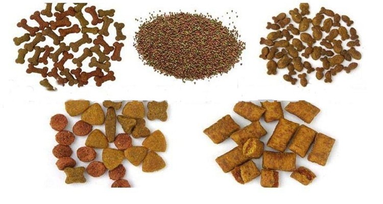200-260kg/H Dry Pet Dog Food Making Machine Shrimp Feed Pellet Machine
