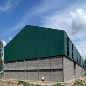 China Light Prefab Modular Steel Structure Building Construction Q235B on sale