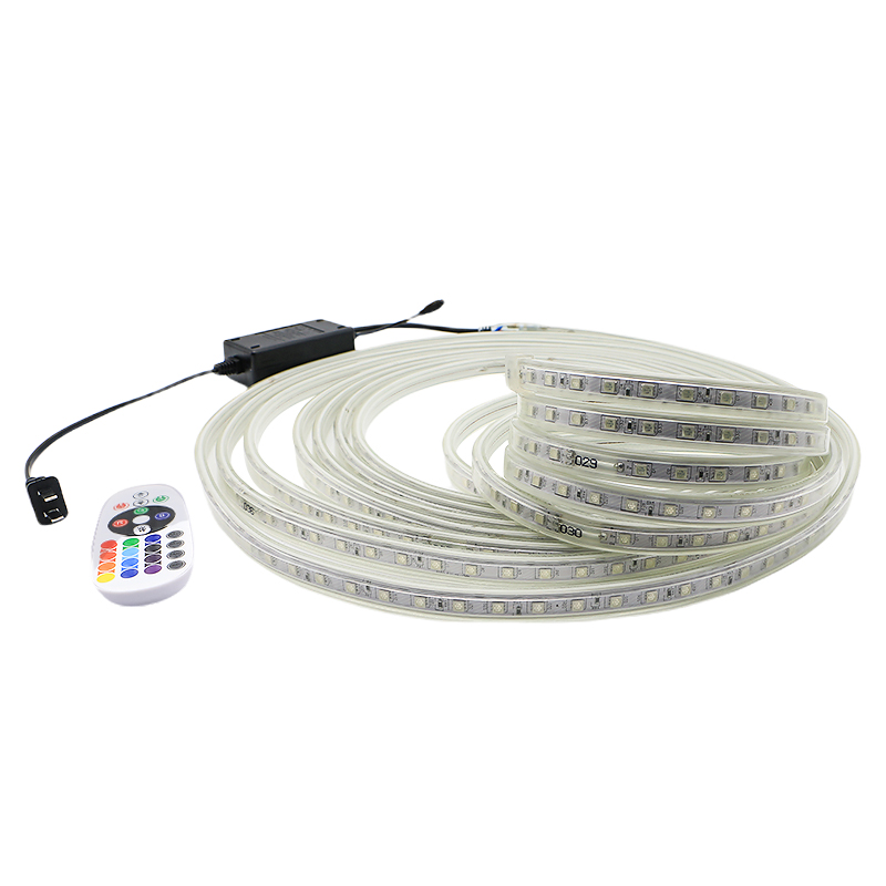 110V Remote Control Smart LED Rope Lights , Dimmable Smd LED Flexible Strips 5050