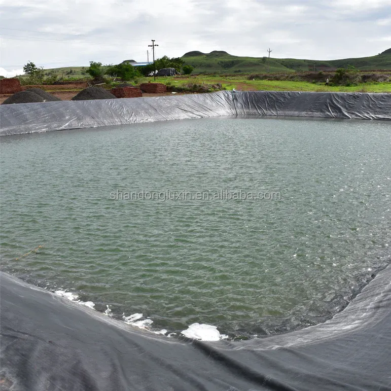 1mm HDPE Geomembrane Pond Liner for Dam Pond Project in Singapore Waterproof Black Blue
