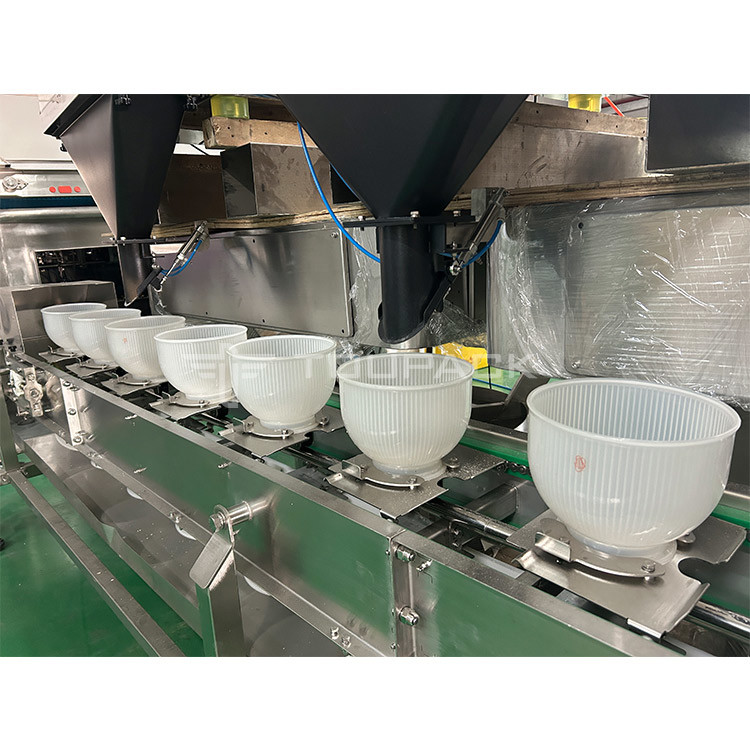 Mixed Nuts And Dried Fruits Linear Weigher Packing Machine With Conveyor Pre-Made Bag Packing Machine
