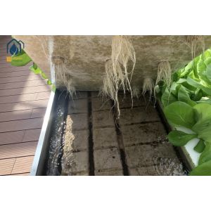  Agricultural Ebb And Flow Rolling Benches Movable Nursery Seedling Trays Manufactures