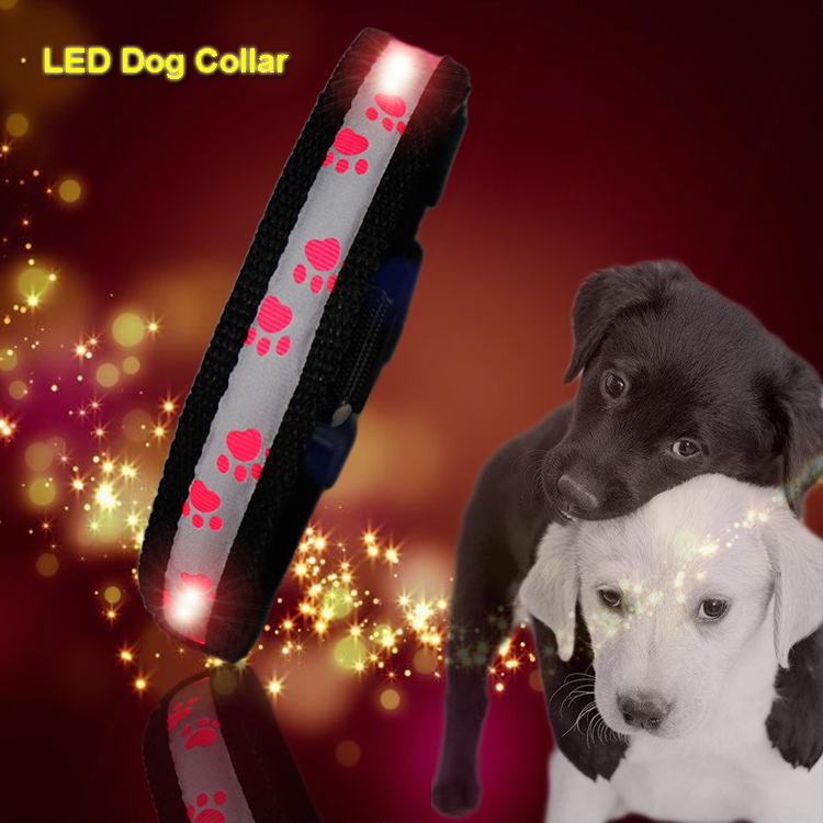C903 Wholesale Most Welcomed Safety Waterproof Rechargeable Led Luminous Dog Collar