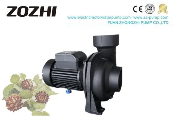 NFM Series Centrifugal Water Pump 1.0hp 1.5hp 2.0hp 3.0hp For Gardening