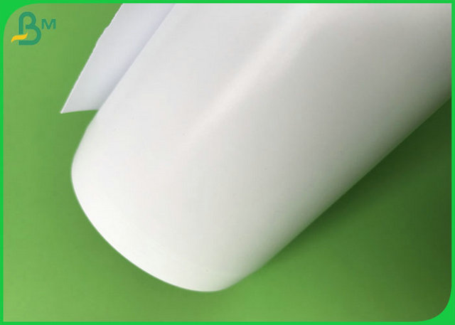 photo paper
