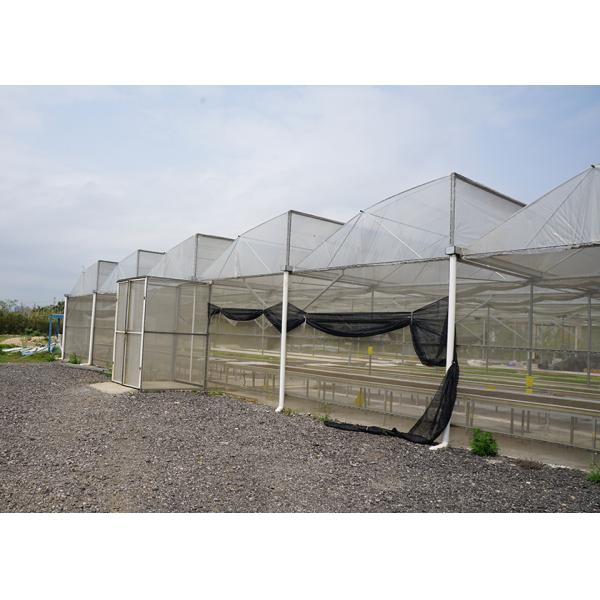 Single Layer Greenhouse Hydroponics System Wrought Iron Greenhouse With Film Surface