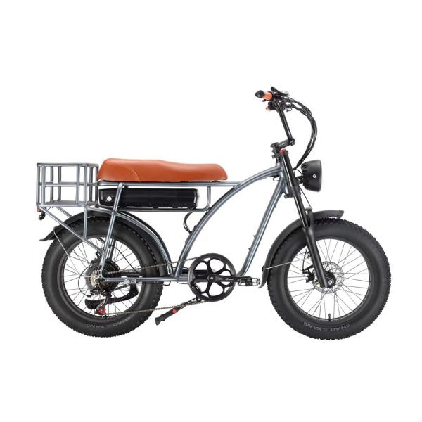 Electric Fat Bike 500W 750W Super Nice 73 Electric Bike with 48V 18AH Lithium