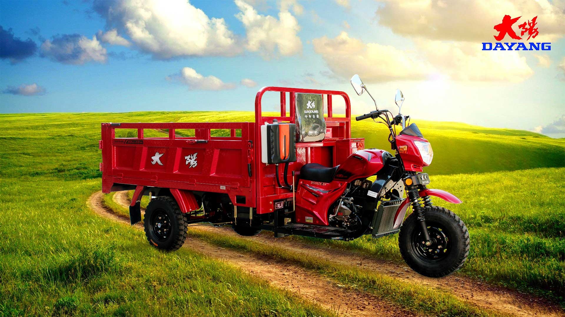 200CC Water Cooled Cargo Tricycle with Front Drum Rear Drum Brake System in Nigeria