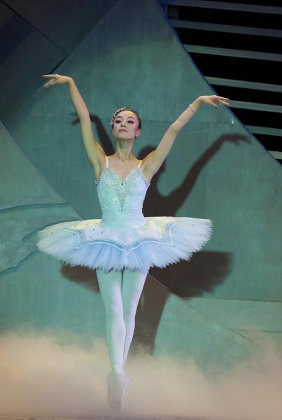 adult and children's Professional rhinestone lace ballet tutus bitter fleabane