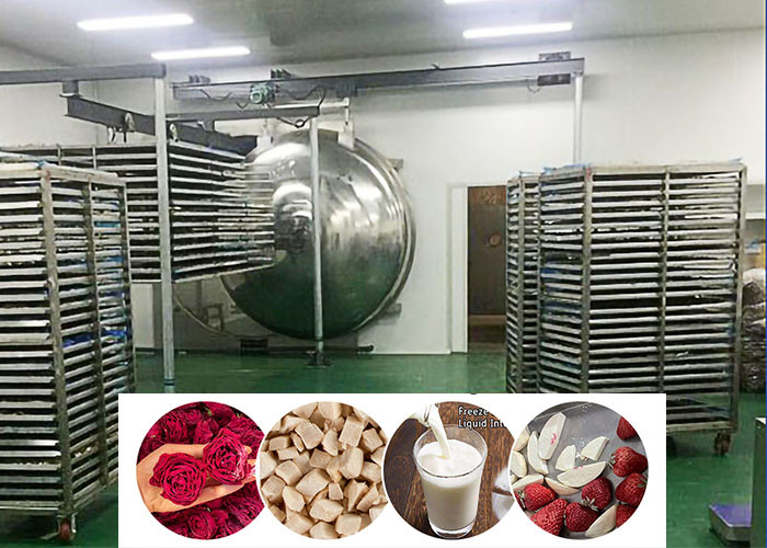 Large Milk Vacuum Freeze Drying Machine For Food Preservation