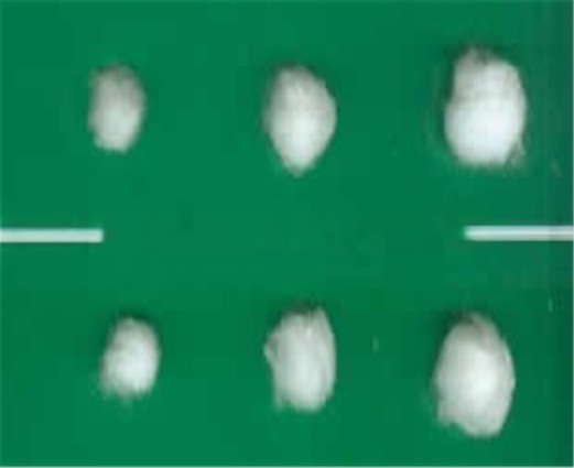 Economical K-MQ-B Cotton Ball Making Machine For Medical Degreasing Cotton Ball