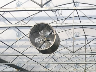 Steel Frame Agricultural Multi Span Greenhouse For Year Round Crop Production