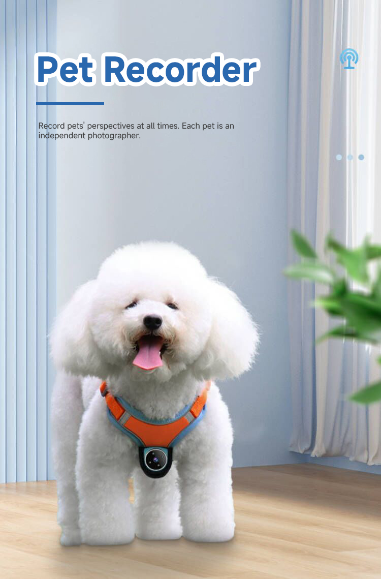 Mini Magnetic Thumb Action Camera Video Recording Wireless Dog Camera Harness