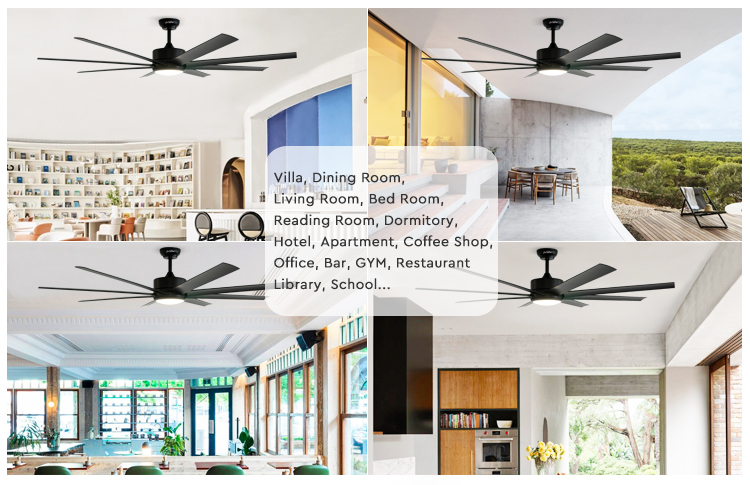 ceiling fan with light