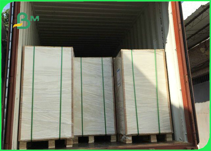 250gsm 300gsm 350gsm + 15g PE Coated Cardboard For Fast Food Packages 