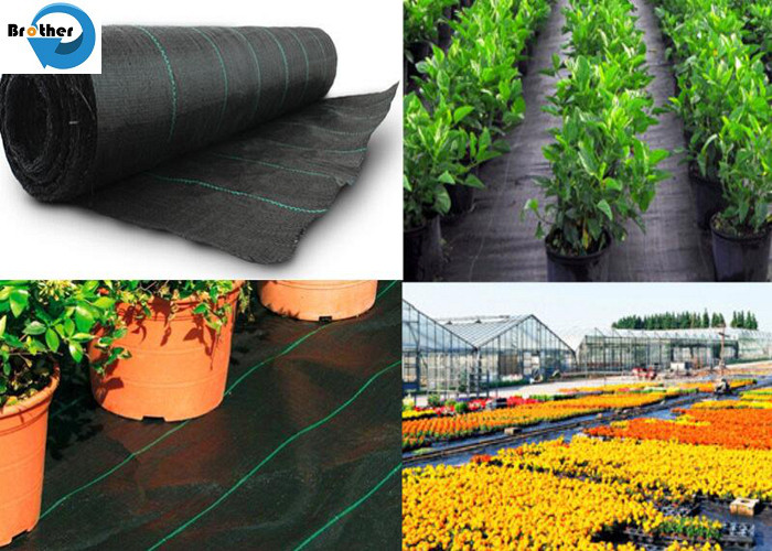 PP/PE/Plastic Woven Agricultural Garden Ground Cover/Geotextile/Anti Weed Control/Barrier Fabric