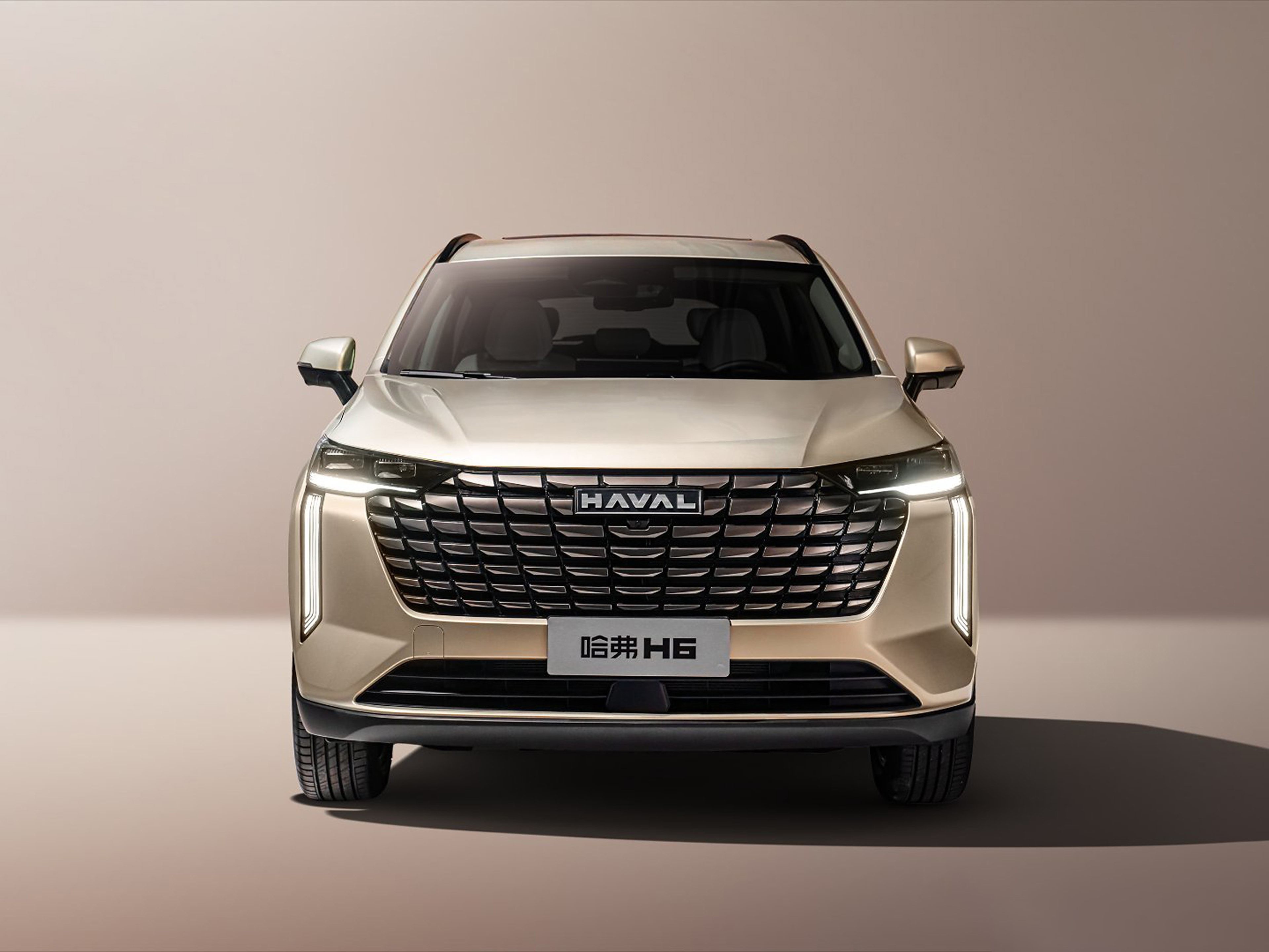 Haval H6 5-Seater Gasoline Car SUV Vehicles For Family Use And Travel Hotsale Used Gasoline Car