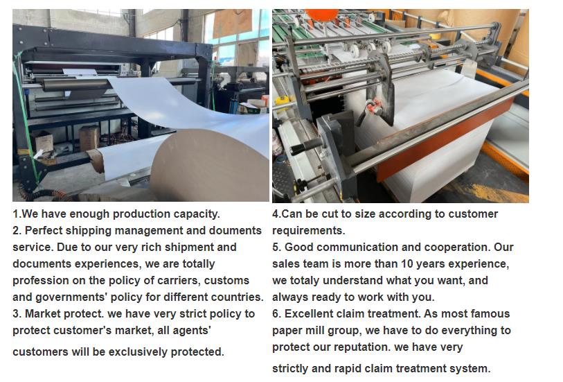 300gsm Coated Gloss Writing and Printing Paper 100% Virgin Pulp Raw Material Used