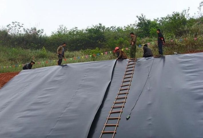 HDPE Fish Shrimp Farm Pond Liner Geomembrane 0.5mm Thickness ASTM GM13 for Aquaculture
