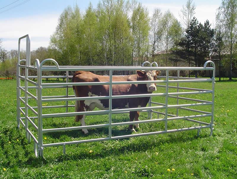 Cattle Fence Panels / Hot Dipped Galvanized