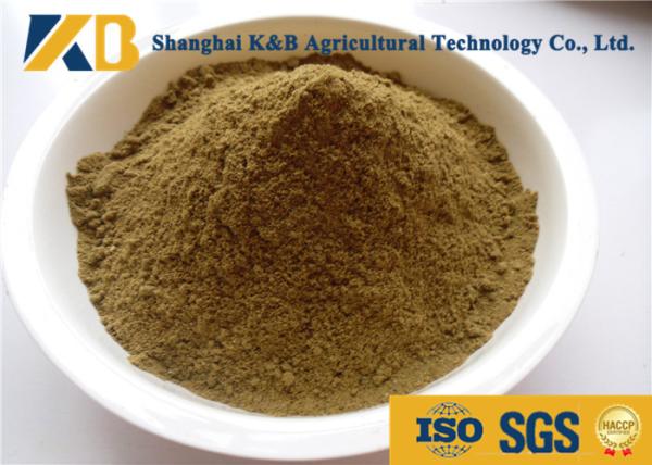 Nutritious Cattle Feed Concentrate 65% High Protein Content Slight Smell And