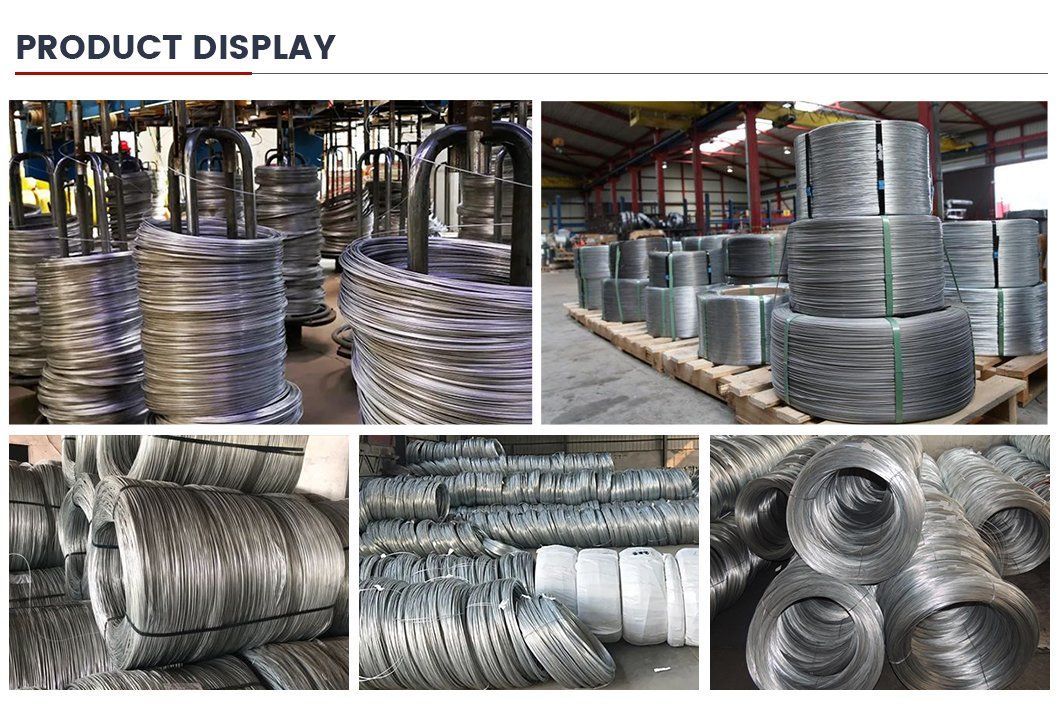 201 202 303 304 310 316 Stainless Steel Spring Wire 55crsia 60si2mna 65mn Alloy Spring Steel Wire Rod Factory